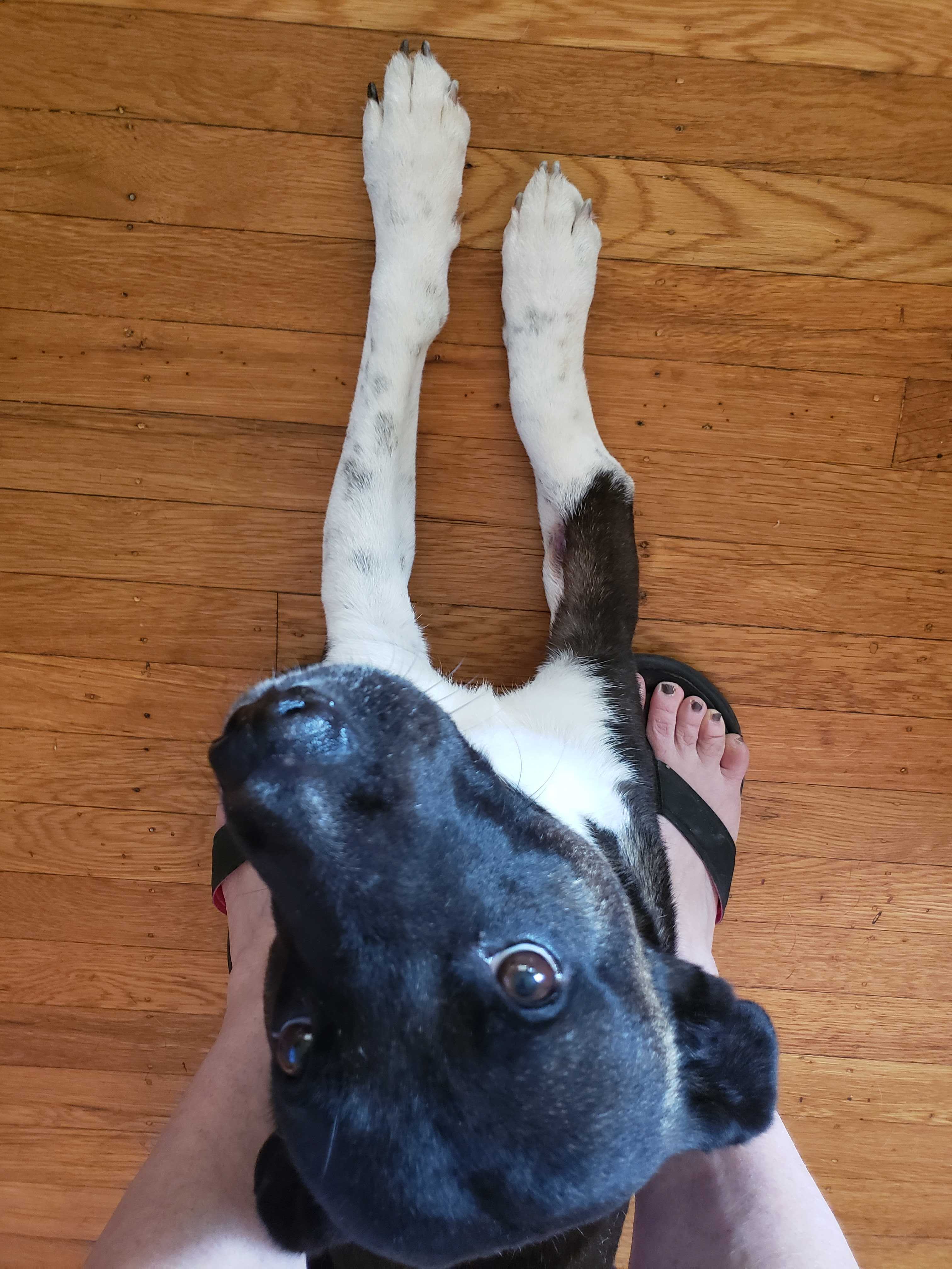 Guante's unset broken leg after it healed